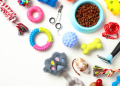 Brand Marketing Specialist