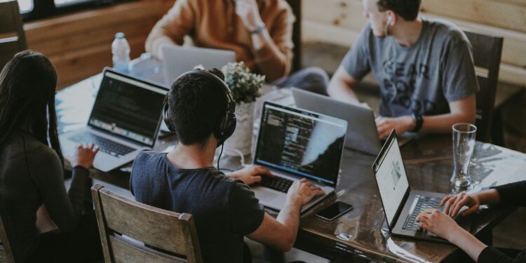 Freelance Web Developer