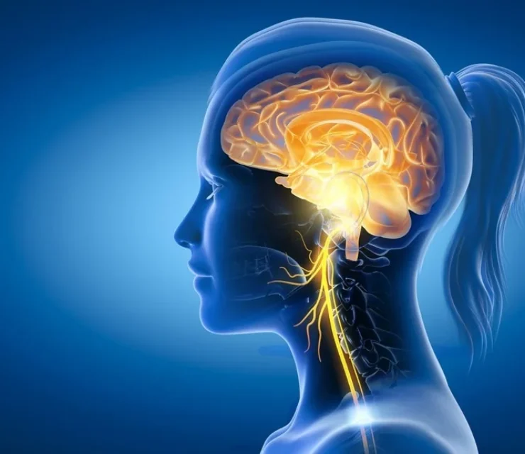 Revolutionary incision-freetechnique halts growth of braincavernomas