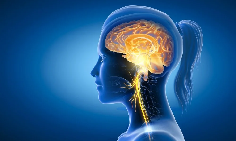 Revolutionary incision-freetechnique halts growth of braincavernomas