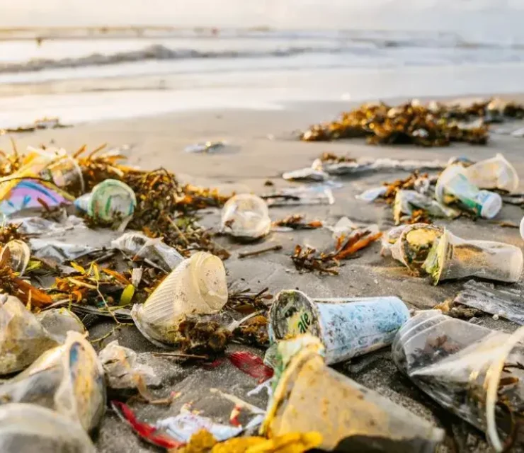 Raise in Marine Pollution Affectingocean life