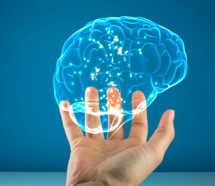 Potential new drug targets forAlzheimer’s disease has beendiscovered