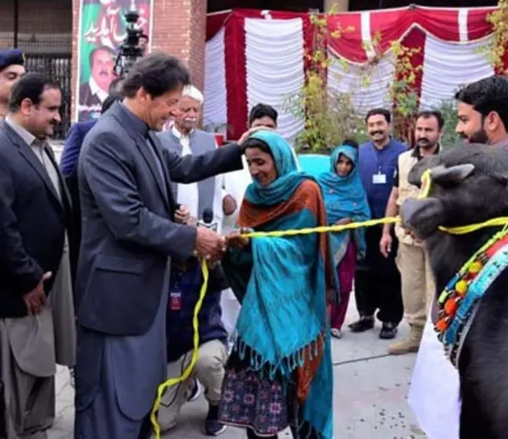 Rural Development Grant Schemes in Pakistan Investing in Villages Changing Lives