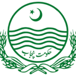 Municipal Committee Chowk Azam Job