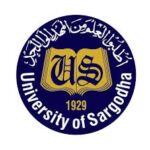 Latest University of Sargodha UOS Education Posts Sargodha